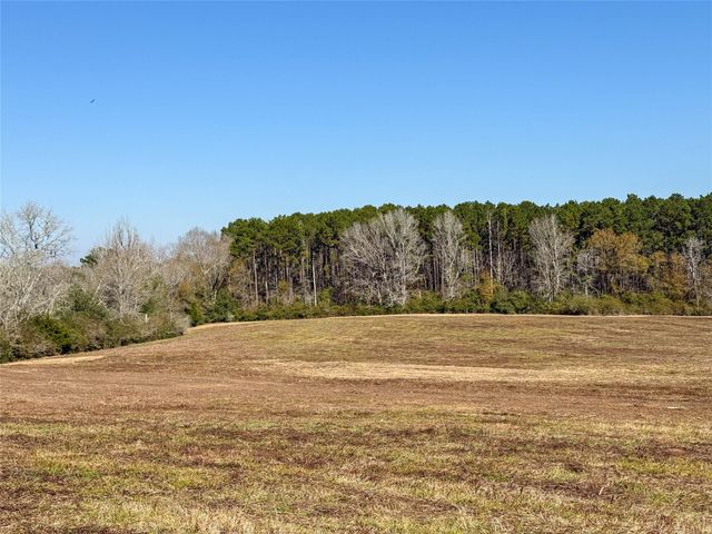 000 Cr 2780, Colmesneil, TX 75938