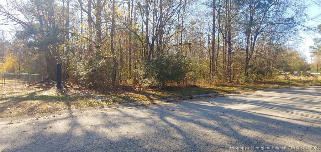 0 Neal Street, Fayetteville, NC 28312 — photo 2