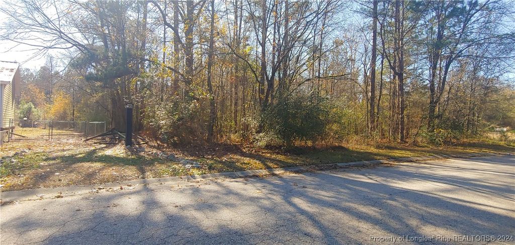 0 Neal Street, Fayetteville, NC 28312 — photo 3