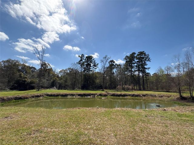 1821 E Beverly Drive, Shepherd, TX 77371