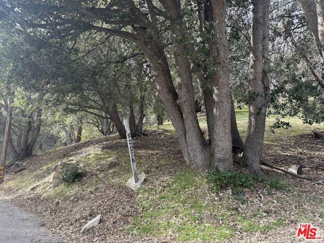 24862 Edelweiss Drive, Crestline, CA 92325