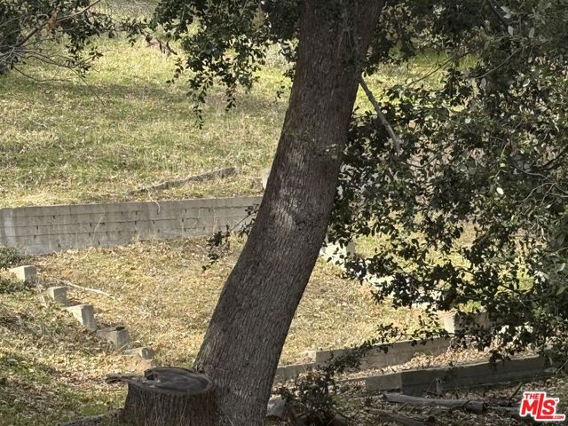 24862 Edelweiss Drive, Crestline, CA 92325
