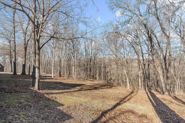 3150 Route W, Anderson, MO 64831