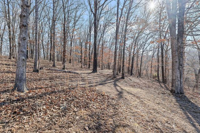 3150 Route W, Anderson, MO 64831