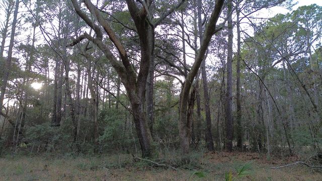 0 Two Pines Road, Mcclellanville, SC 29458