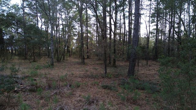 0 Two Pines Road, Mcclellanville, SC 29458