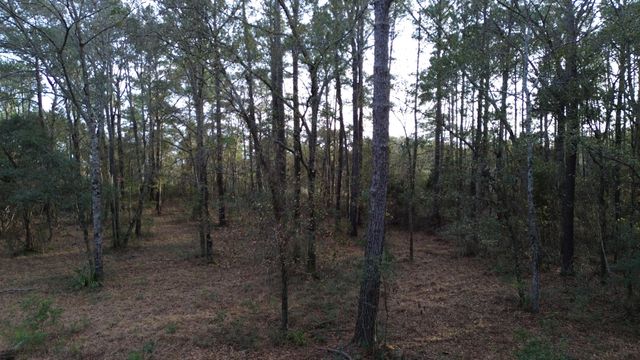 0 Two Pines Road, Mcclellanville, SC 29458
