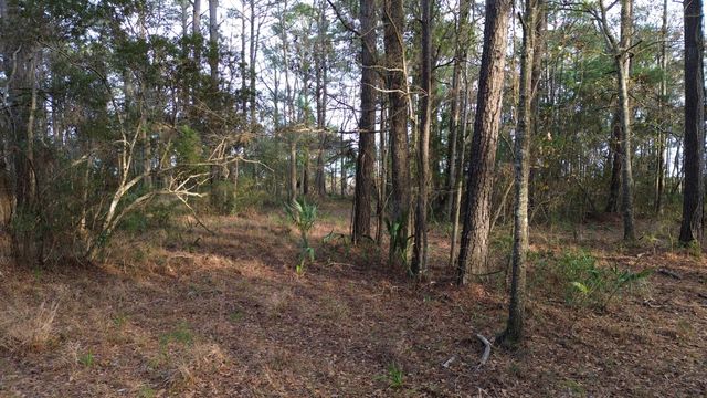 0 Two Pines Road, Mcclellanville, SC 29458