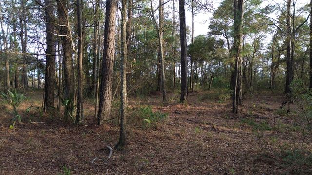 0 Two Pines Road, Mcclellanville, SC 29458