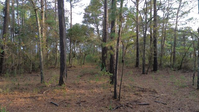 0 Two Pines Road, Mcclellanville, SC 29458