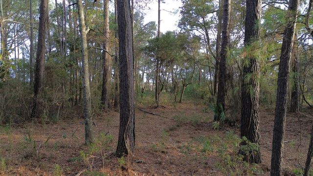 0 Two Pines Road, Mcclellanville, SC 29458