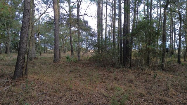 0 Two Pines Road, Mcclellanville, SC 29458