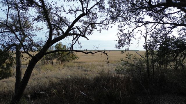 0 Two Pines Road, Mcclellanville, SC 29458