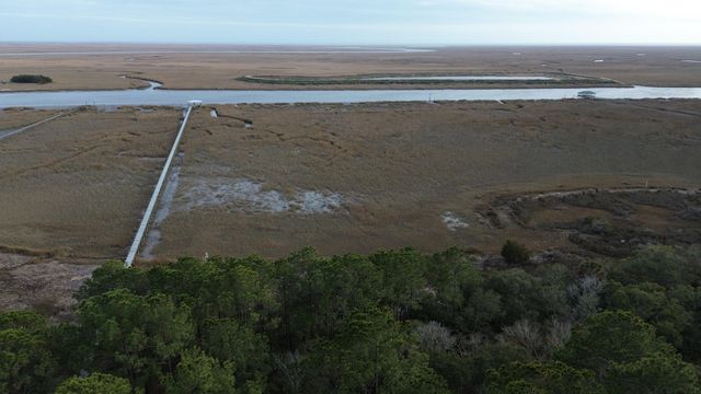 0 Two Pines Road, Mcclellanville, SC 29458