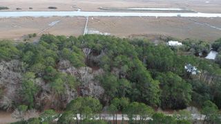 0 Two Pines Road, Mcclellanville, SC 29458