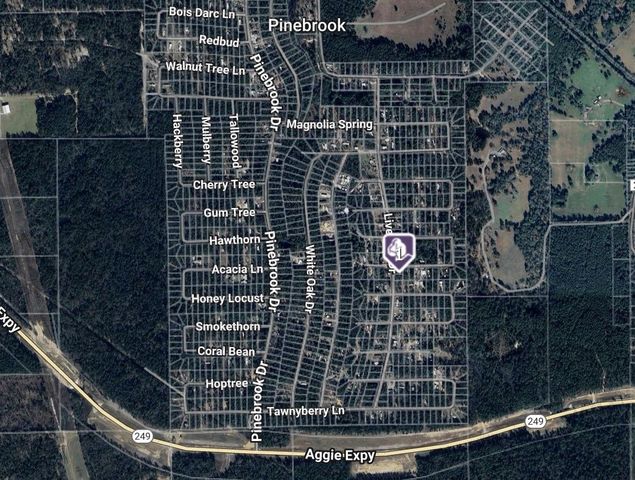 TBD Live Oak Drive, Plantersville, TX 77363