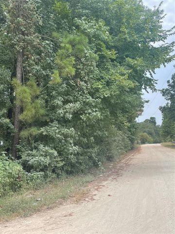 TBD Live Oak Drive, Plantersville, TX 77363