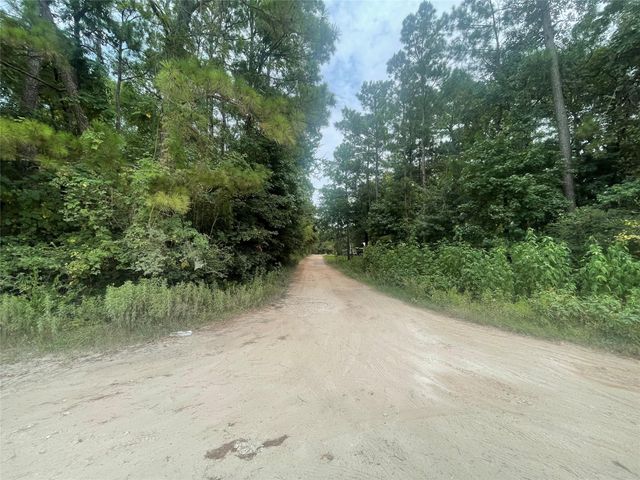 TBD Live Oak Drive, Plantersville, TX 77363