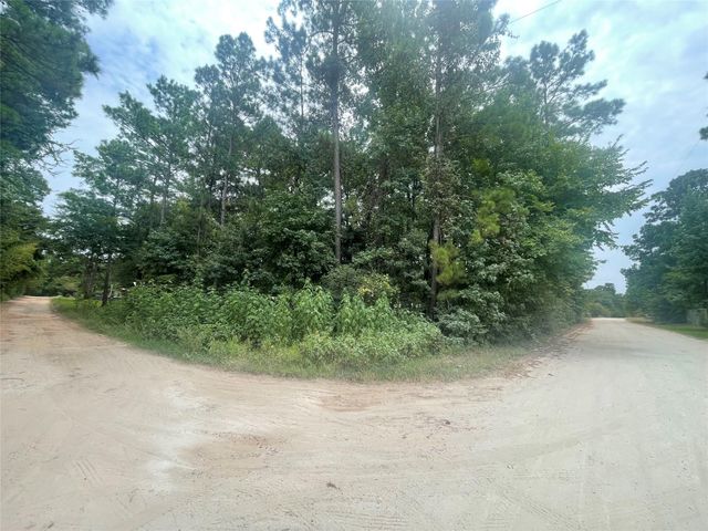 TBD Live Oak Drive, Plantersville, TX 77363