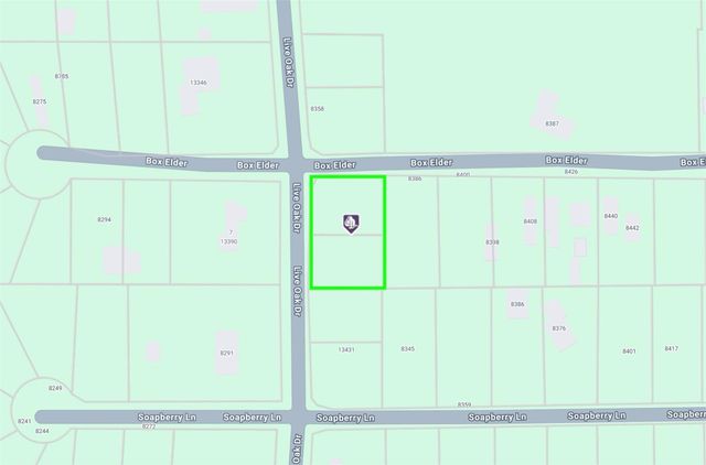 TBD Live Oak Drive, Plantersville, TX 77363