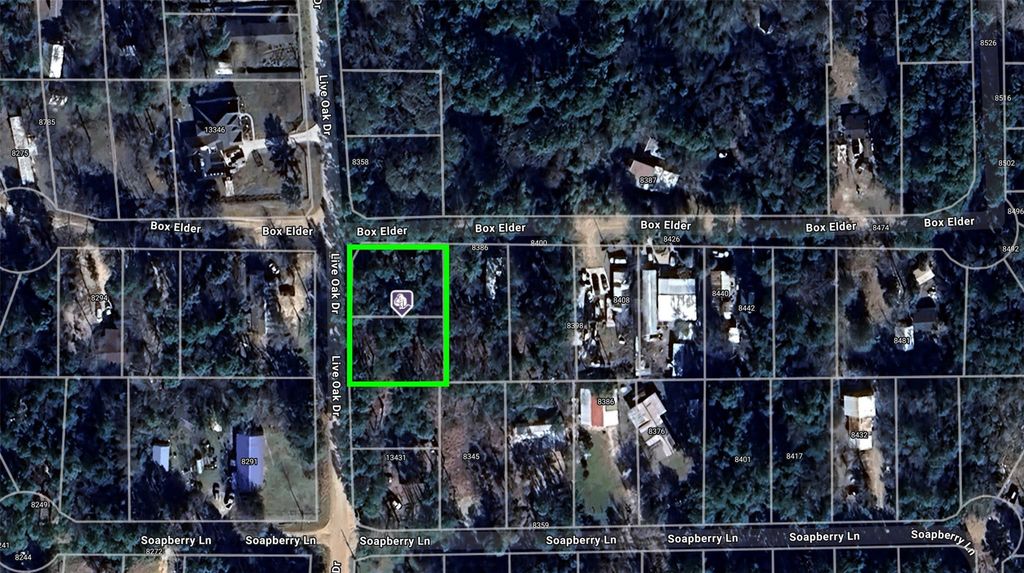 TBD Live Oak Drive, Plantersville, TX 77363