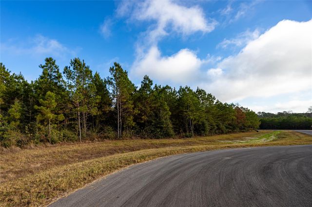 10517 Legends Road, Willis, TX 77378