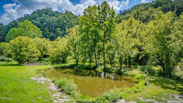 748 Cripple Creek Road, Watauga, TN 37694