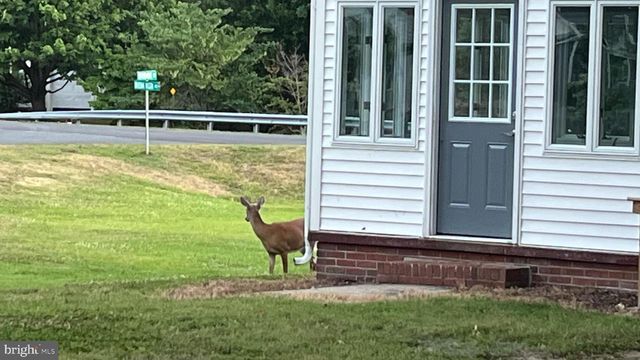 201 BUENA VISTA AVE, Cambridge, MD 21613