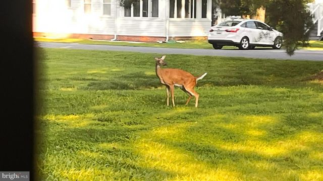 201 BUENA VISTA AVE, Cambridge, MD 21613