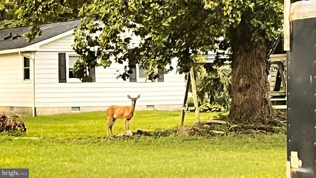 201 BUENA VISTA AVE, Cambridge, MD 21613