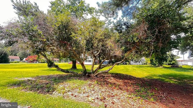 201 BUENA VISTA AVE, Cambridge, MD 21613