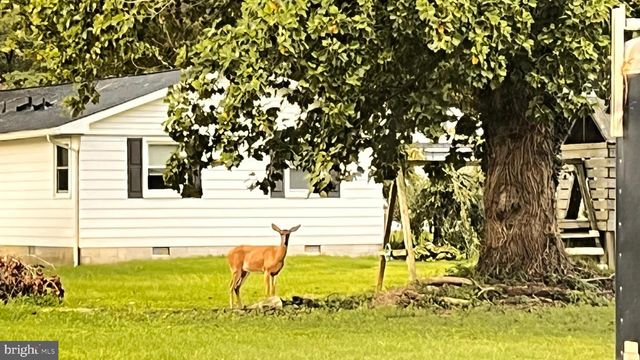 201 BUENA VISTA AVE, Cambridge, MD 21613