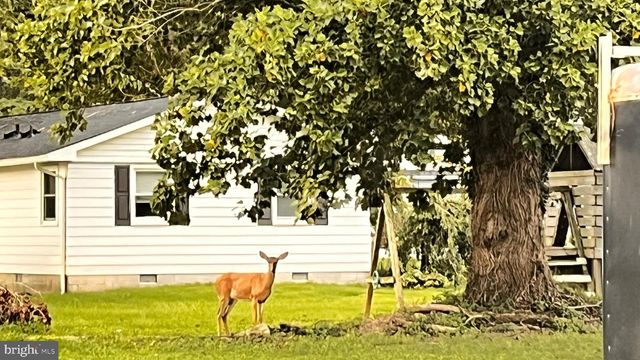 201 BUENA VISTA AVE, Cambridge, MD 21613