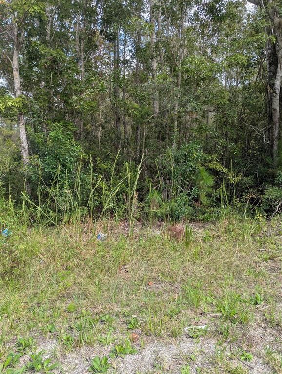 EAST PARKWAY, Deland, FL 32724