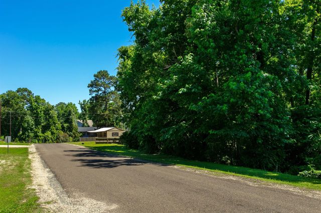 390 Casablanca Drive Drive, Shepherd, TX 77364