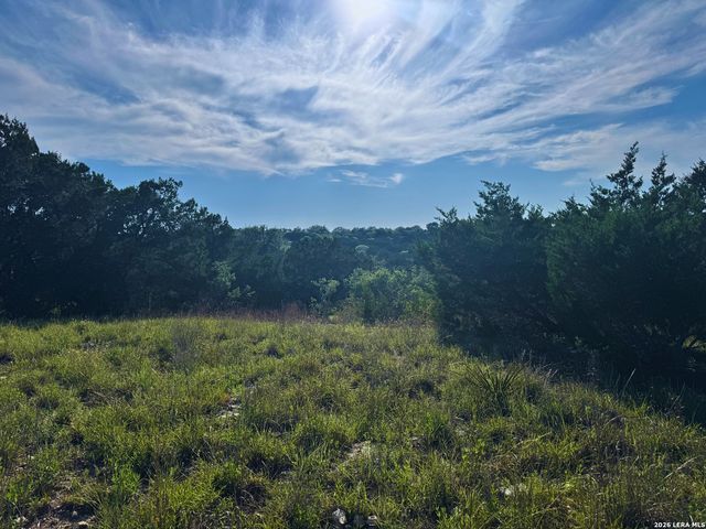 1013 Flint Ln, Spring Branch, TX 78070