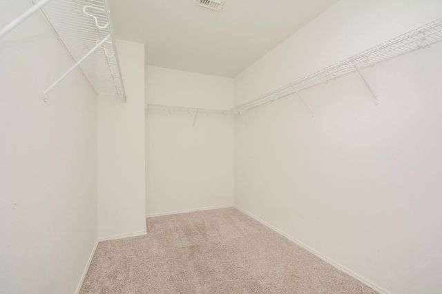 22951 Twisting Pine Drive, Spring, TX 77373