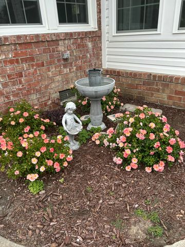 111 Minus Street, Saint George, SC 29477