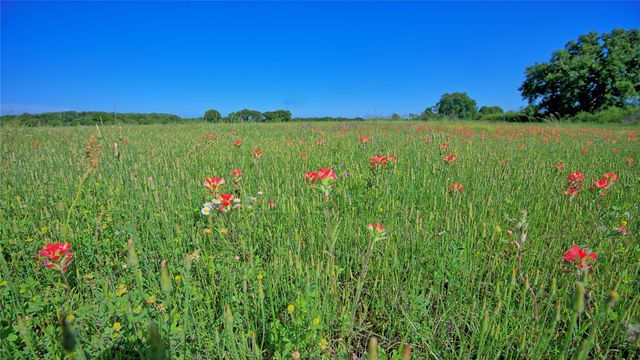 433 Fruitland Road, Bowie, TX 76230
