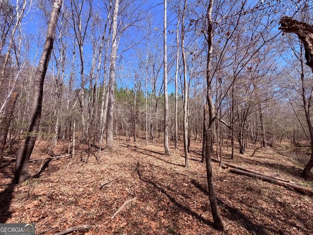 0 Carr Station Road, Sparta, GA 31087