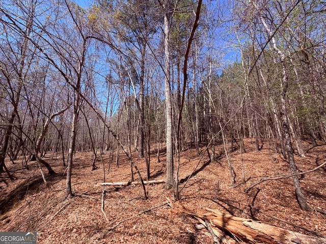 0 Carr Station Road, Sparta, GA 31087