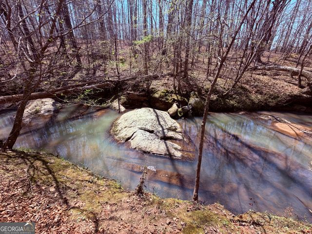 0 Carr Station Road, Sparta, GA 31087