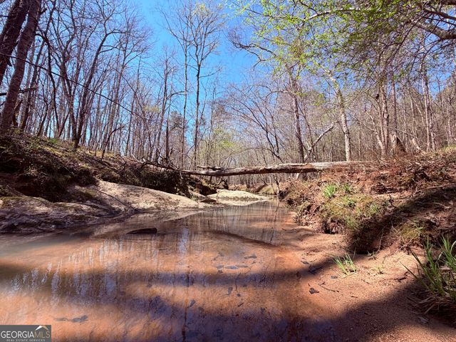 0 Carr Station Road, Sparta, GA 31087