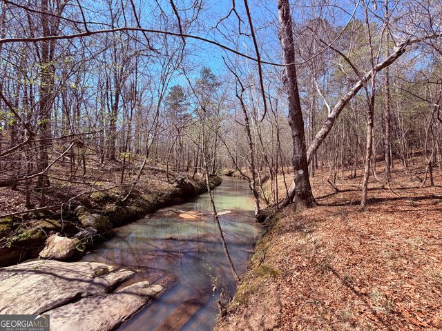 0 Carr Station Road, Sparta, GA 31087