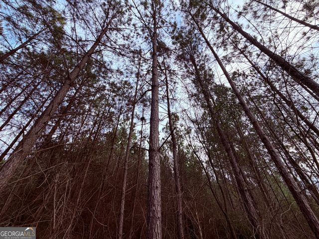 0 Carr Station Road, Sparta, GA 31087