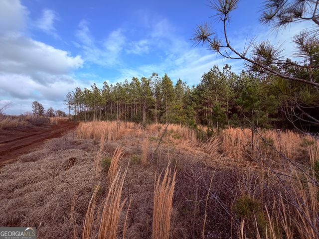 0 Carr Station Road, Sparta, GA 31087