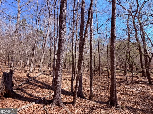 0 Carr Station Road, Sparta, GA 31087