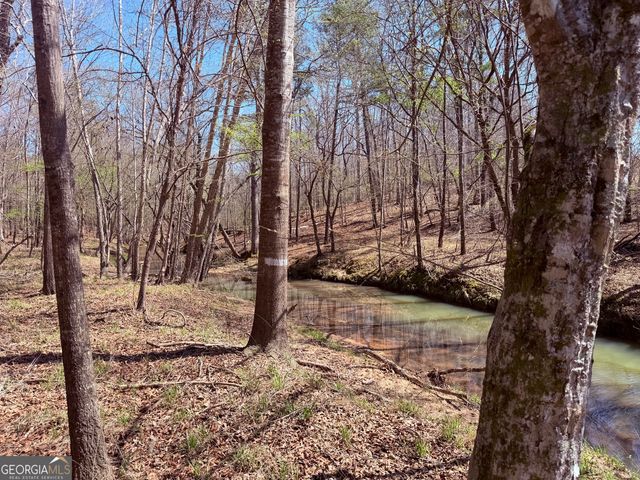 0 Carr Station Road, Sparta, GA 31087