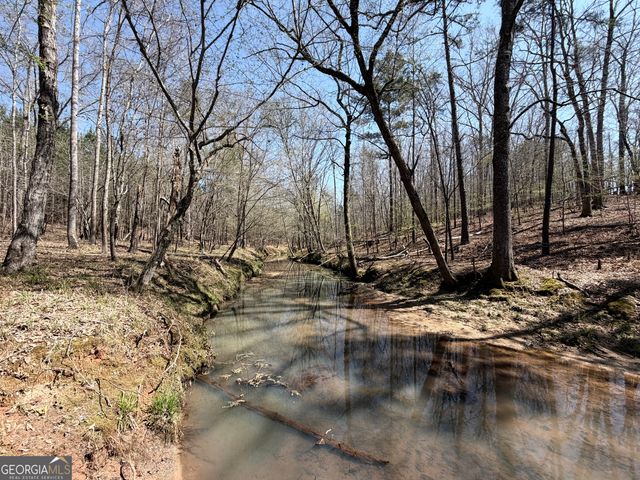 0 Carr Station Road, Sparta, GA 31087