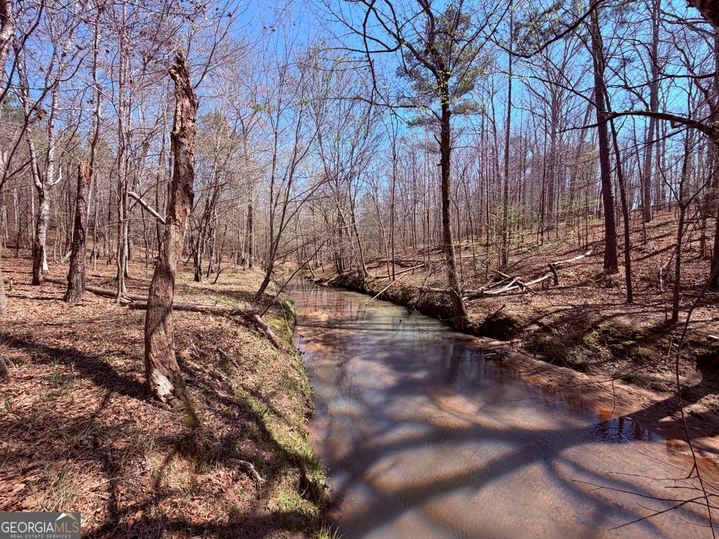 0 Carr Station Road, Sparta, GA 31087